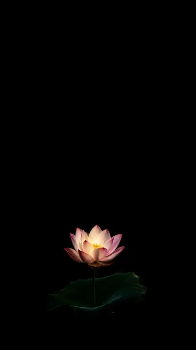 True-black AMOLED AI wallpaper with a single glowing lotus low in the frame, phone portrait